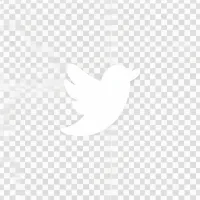 X social